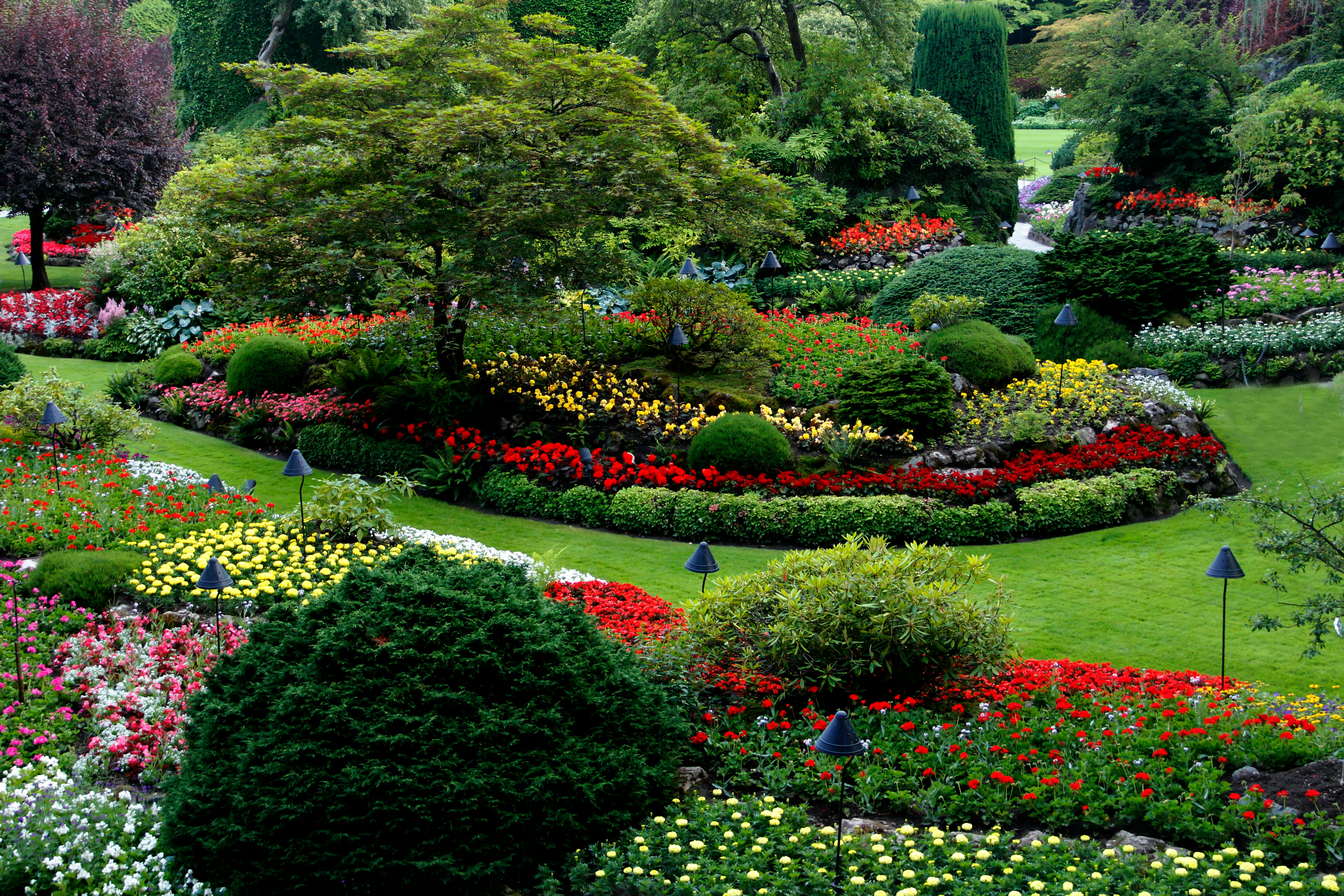 Beautiful Garden